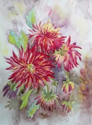 Dalia A3