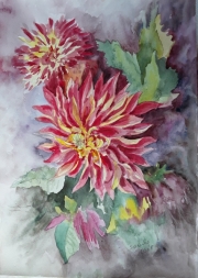 Dalia A3