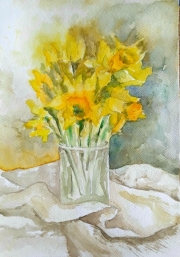 Żonkile A4