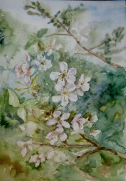 A4