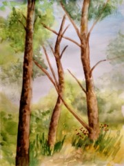 A4