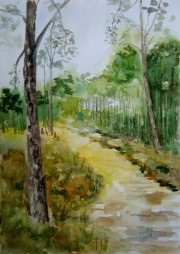 Białogóra 24*32