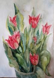 Pierwsze tulipany A4