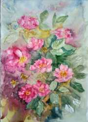 Pachnace-roze