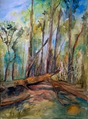 Pomeranian-forest