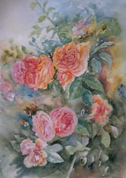 Roze