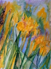Yellow-dream