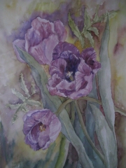 Fioletowe tulipany/A3