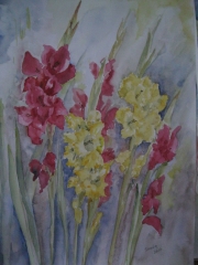 Gladiole/A3