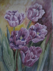 Pierzaste tulipany/A3