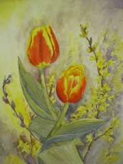 Tulipany/A3