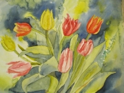 Tulipany/A3