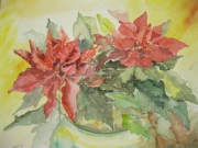 Gwiazda betlejemska/A3