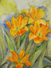 Pomarańczowe tulipany/A3
