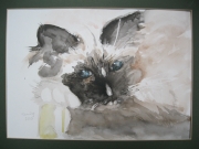 Tia/ 24*32