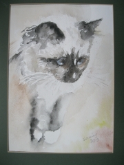 Tia/ 24*32