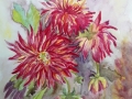 Dalia A3