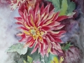 Dalia A3