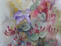 Kapryfolium A3
