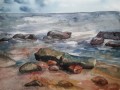 Kamienista plaża A3