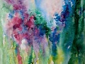 Garden-dream