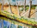 Ujście Piaśnicy 24*32