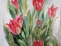 Pierwsze tulipany A4
