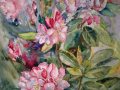 Rododendrony