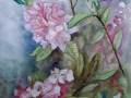 Rododendrony1