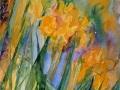 Yellow-dream