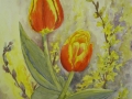 Tulipany/A3
