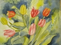Tulipany/A3