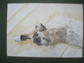 Tia/ 24*32