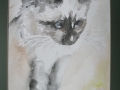 Tia/ 24*32