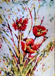 Maki 40*60