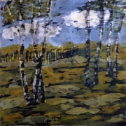 Brzozy 45*45