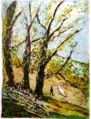 Dziki park 43*59