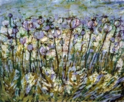 Makówkowe pole 48*39
