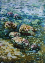 Kamienista plaża 40*60