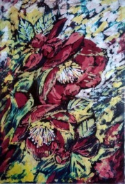 Ciemierniki 43×58