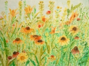 Rudbekie