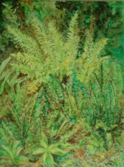 Paprocie