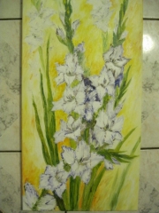 Białe gladiole/30*60