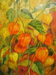 Miechunki/40*50