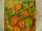 Miechunki/20*20