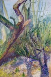 Sevenoaks 40*60