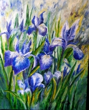 niebieskie irysy 40*50
