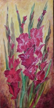 Mieczyki 30×60