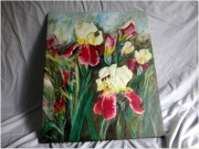 Irysy/50*60