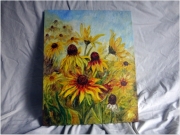 Rudbekie/40*50